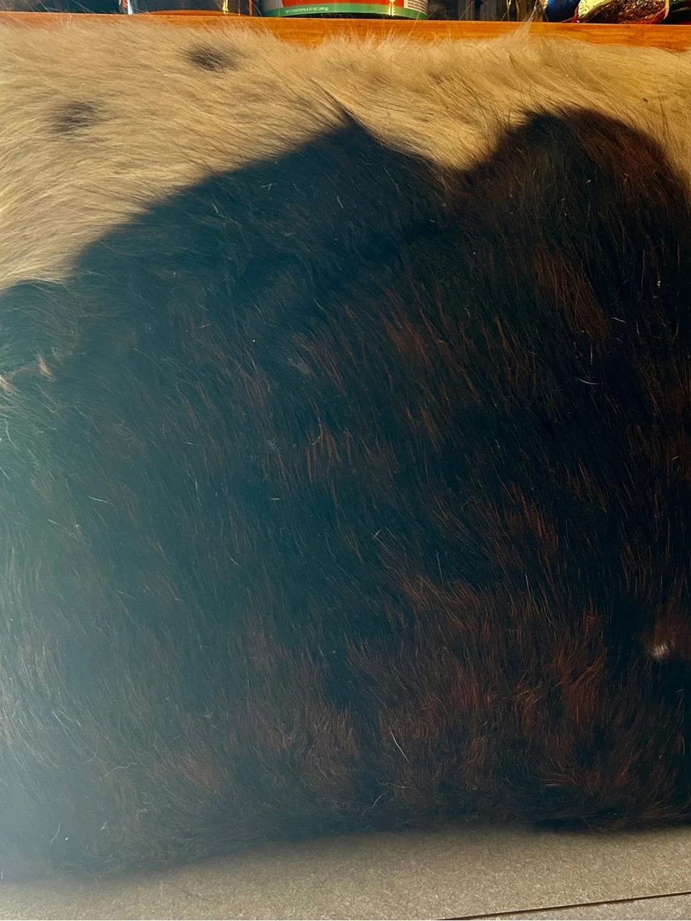 The Unbranded Brand luxurious cowhide